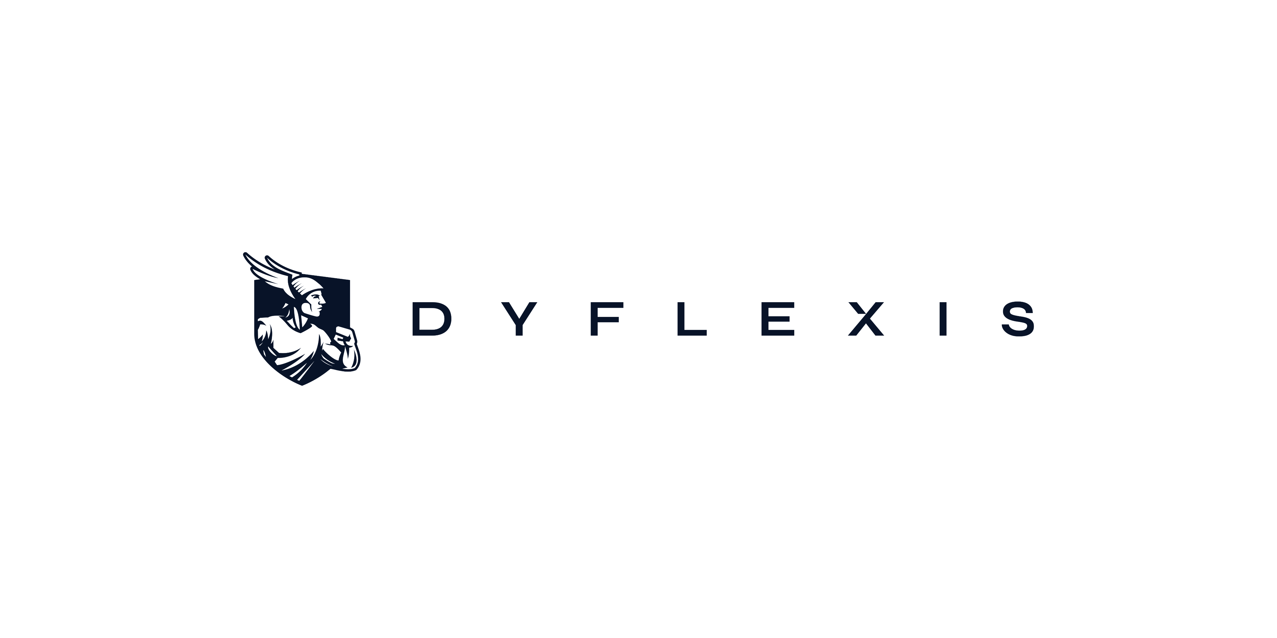 Dysflexis banner (1)